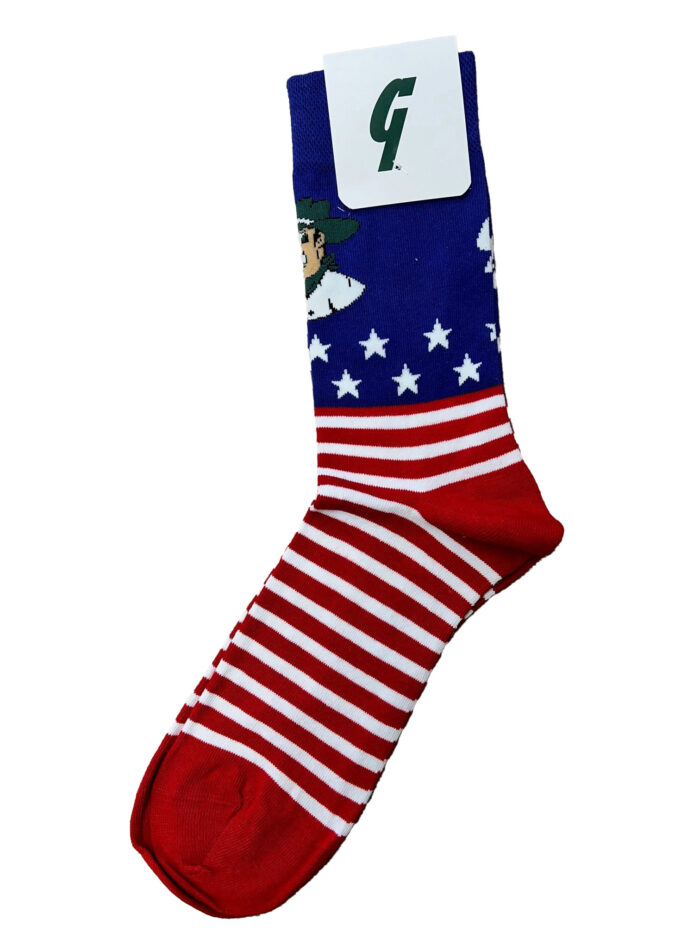 Socks Cash - American Flag
